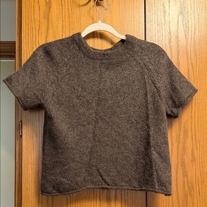 Treasure & Bond Chocolate Short Sleeve Sweater